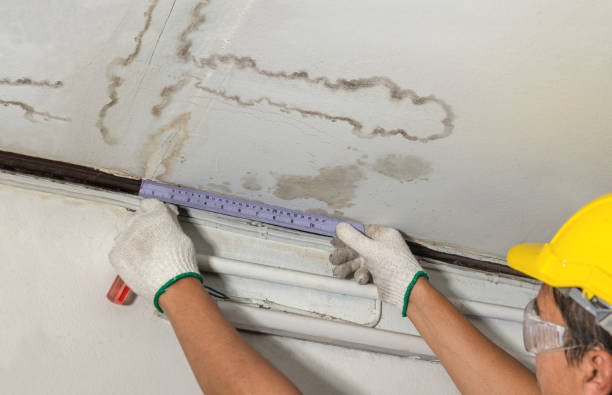 Reliable Water Damage contractor in Branchville, NJ by Water Damage Irwin